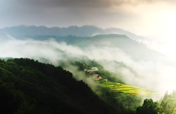 有关于大手笔！六堡茶特色小镇，计划投资约30亿元！的新闻(6)