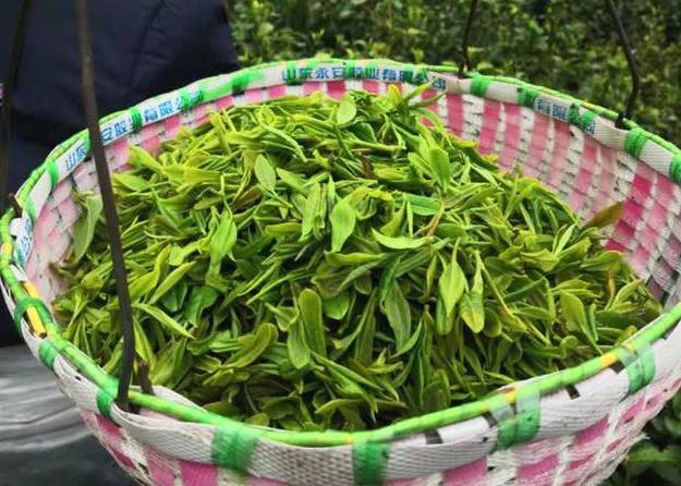 有关于扬州凤凰山：百亩茶园春茶香 村民“采”出幸福路的消息(1)