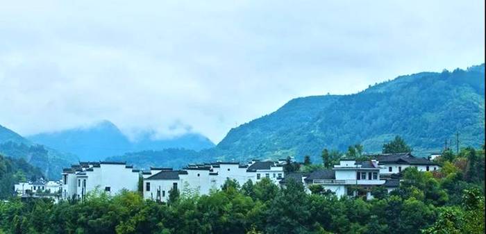 关于陕西平利：追求美丽18年 点绿成金20载的消息(1)