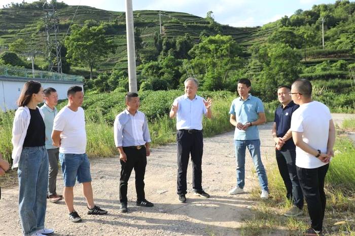有关于蔡梅生赴点头调研生态茶园示范园茶叶发展工作的信息