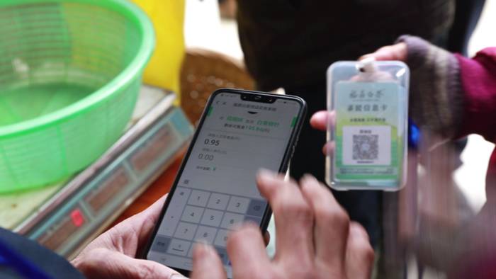 关于福鼎白茶大数据溯源平台正式运行，听听茶农茶企都是怎么说！的热门新闻(9)