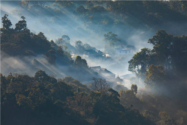 有关于普洱茶市场“夏暖冬凉”，业界：成“慢牛”才是好事的热门资讯(1)