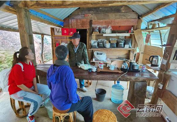 关于南糯山半坡老寨：寨因茶而兴、民因茶而富的热门消息(1)