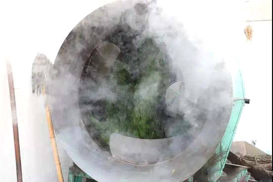 关于日照市岚山区大棚春茶上市！刚出锅的茶叶可真香~的热门消息(5)