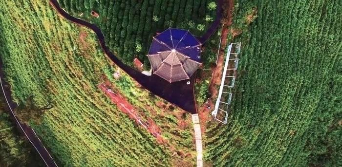 关于贵茶集团登陆央视财经频道，你发现了吗？的热门新闻(2)