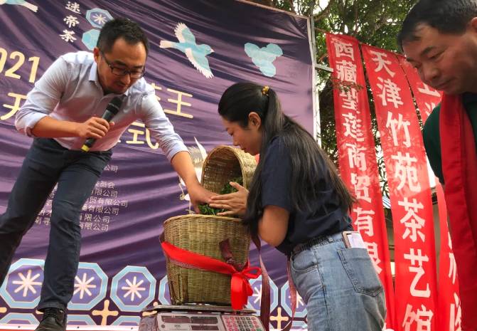 关于墨江米地贡茶春茶头采,933克鲜叶拍出23万元!的最新消息(3)