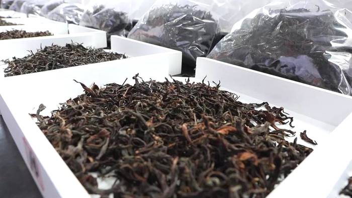 有关于宁德首届红茶大赛落幕，这两大类型红茶将主导市场的资讯(2)