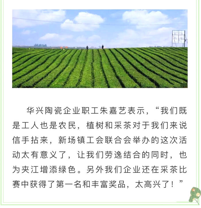 关于夹江​新场镇：植树植出新希望 采茶助力农民增收的资讯(5)