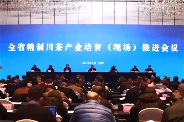 有关于四川精制川茶产业瞄准千亿 着力推动全产业链发展的新闻