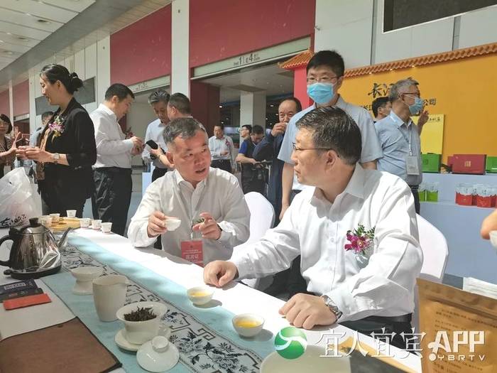 有关于宜宾茶： 趁势而为 变“原料出川”为“品牌出川”的信息(5)