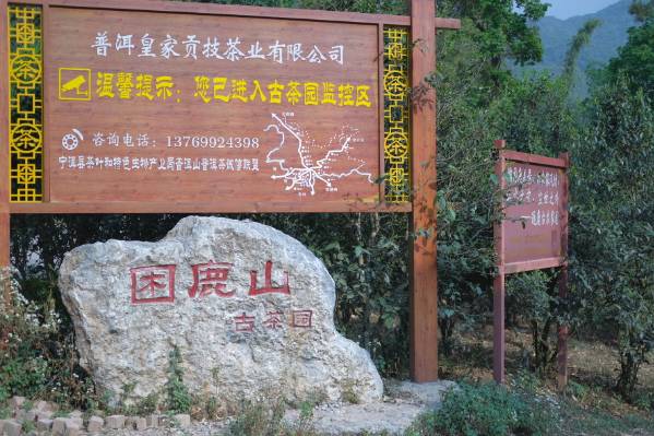 有关于普洱困鹿山：茶叶直播的新业态，为茶业发展注入了新的活力的最新信息(1)