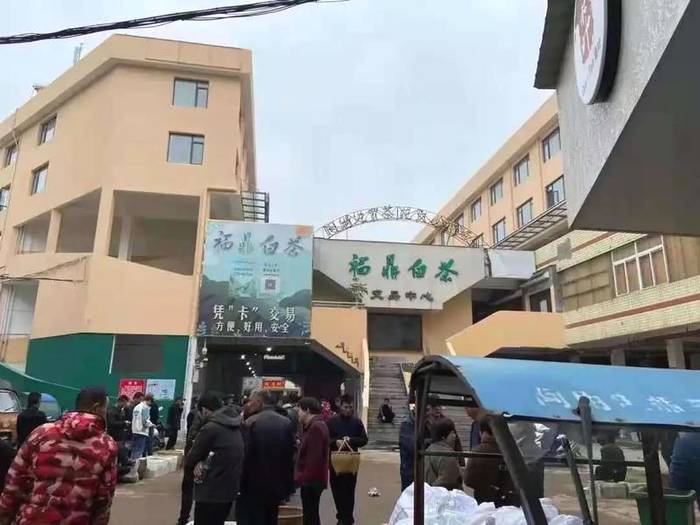 关于白茶涨势明了：涨幅最高达50%，且入局者越来越多！的资讯(1)