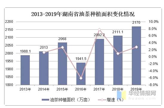 有关于中国油茶行业发展现状分析,湖南油茶产业保持全国领先优势的热门信息(6)