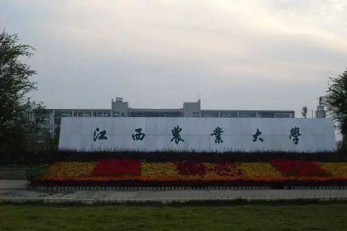 关于高考完想学茶的小朋友，这些高校开茶学专业噢！的消息(20)