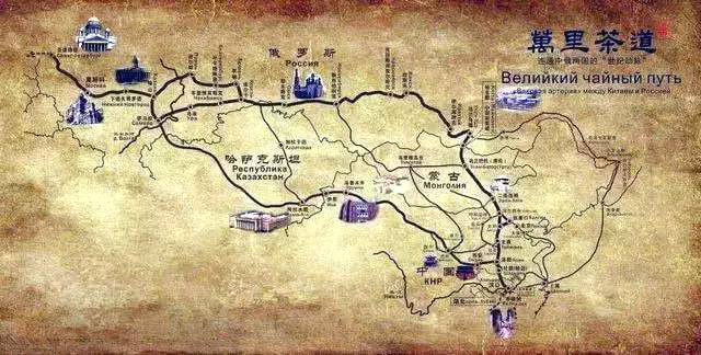 有关于福建省委书记尹力：茶叶是福建的一张名片的热门消息(26)