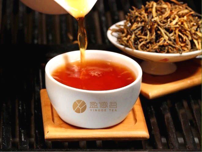 关于茶情报携手英德红茶品牌【盈德茗】，谱写有机茶新篇章的最新消息(3)