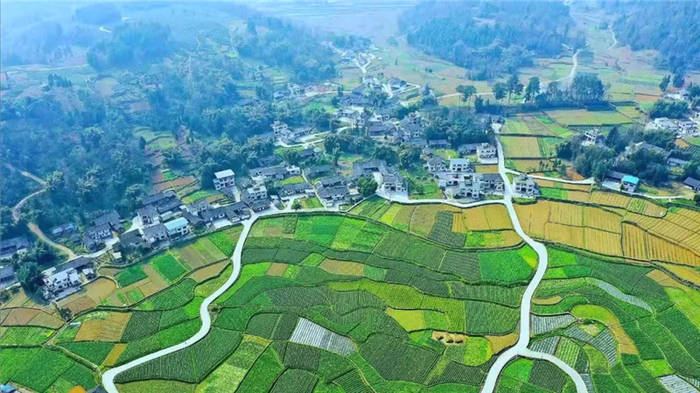 关于湄潭全国第一！贵州11地入列中国茶业百强县！的最新信息(3)