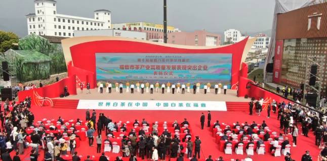 有关于第十届福鼎白茶开茶节在点头镇观洋村举行的热门信息