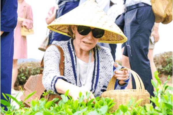 有关于上海茶博会 ：河南信阳以茶为媒链接世界的热门新闻(2)
