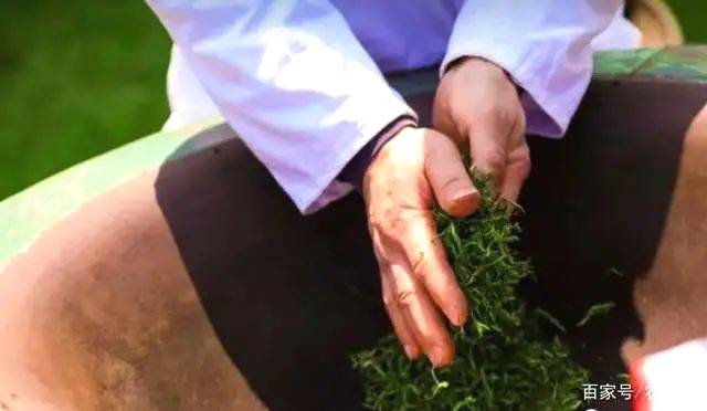 有关于浙江武义:做好“茶文章” 茶旅联姻富乡民的最新信息(2)