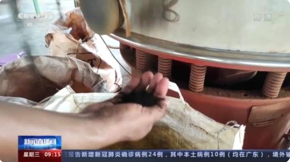 有关于阿萨姆邦茶叶种植区:1月到5月茶叶减产至少6000万公斤的热门资讯(4)