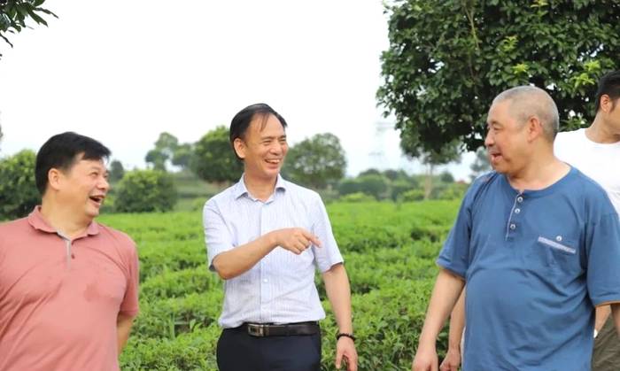 有关于《中国茶全书·四川卷》工作组一行走进湖南长沙参观考察的热门新闻(25)