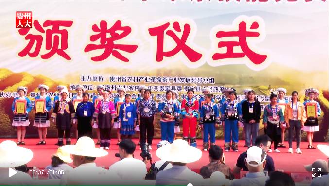 有关于双手采出致富叶！贵州省大力推广双手采茶成效显著的热门消息(4)