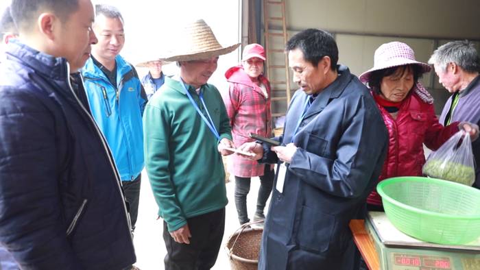 关于中国白茶特色小镇的产业振兴路：质量立茶 绿色兴茶 品牌强茶的最新信息(3)