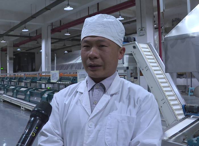 关于雷山县春茶采摘加工正当时，一年一度茶飘香！的热门新闻(4)