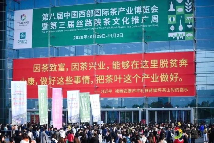 关于【盘点2020】快看!这些茶区发生了哪些大事?①的最新资讯(9)