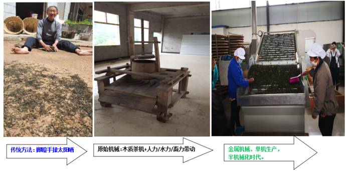 关于百年党旗红 万顷茶山青 ——镇巴茶业百年变化图示的资讯(5)