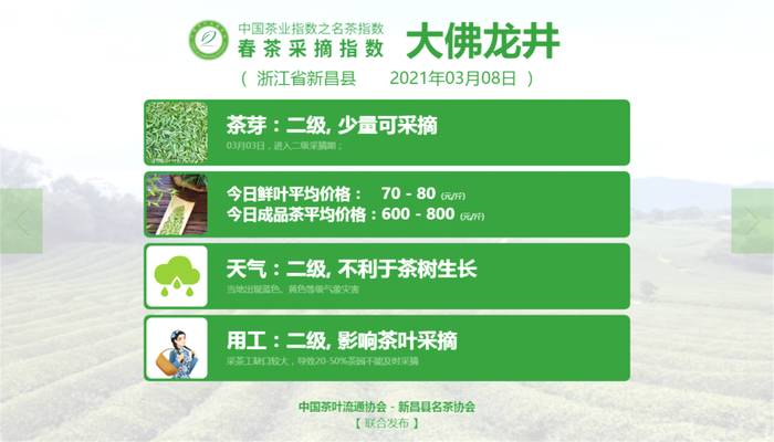 关于2021春茶采摘指数，湄潭翠芽进入三级的信息(3)