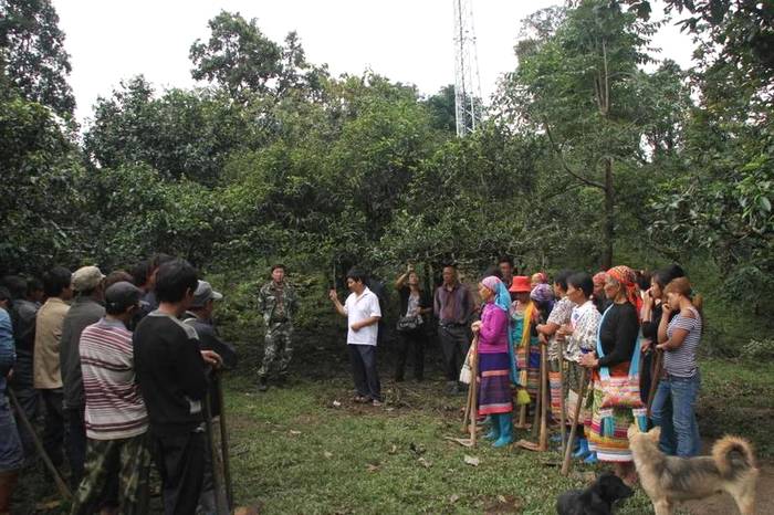有关于勐海贺开：遇见最美茶园，230余万株古茶树备受“呵护”的最新资讯(6)