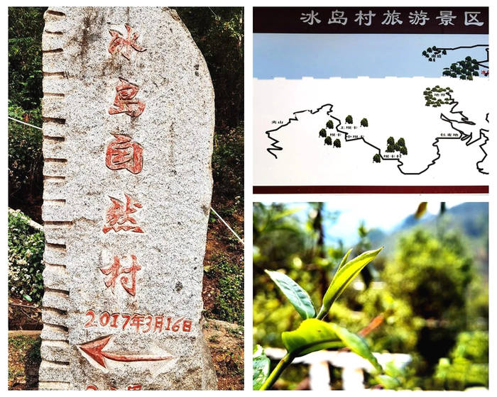 有关于数字 生态茶园概念诞生 足不出户可掌握茶树生长情况的热门信息(2)