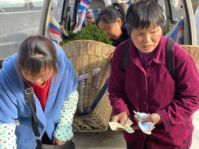 关于百丈镇解放村鲜叶市场你来我往，春茶交易忙不停的热门信息(5)