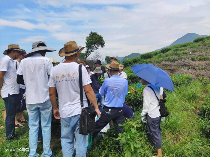关于首届“茶园管理师（中级）”新型茶农培训班在福鼎顺利结业的最新消息(3)