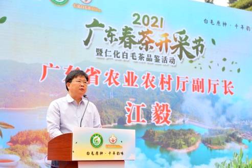 有关于广东春茶上新产销两旺,茶农们迎来“富口袋”的热门消息(1)