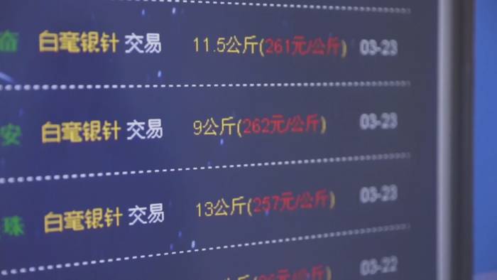 关于福鼎白茶大数据溯源平台正式运行，听听茶农茶企都是怎么说！的热门新闻(14)