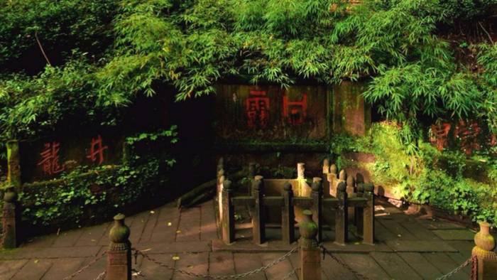 有关于蒙山茶传统制作技艺入选第五批国家级非物质文化遗产代表性项目名录推荐项目名单的热门资讯(20)