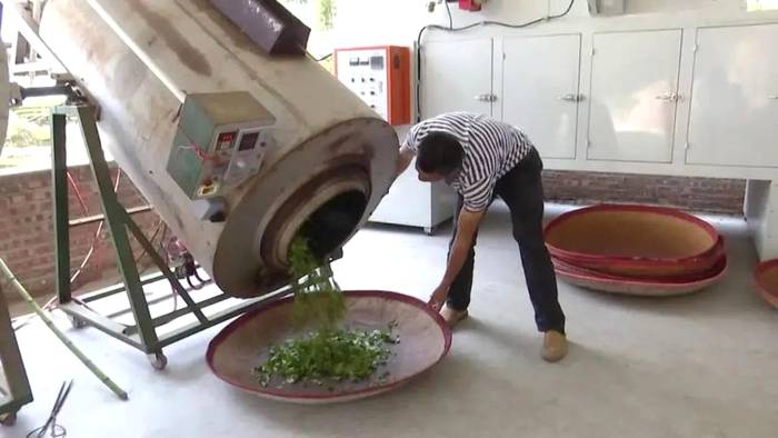 有关于成立产业联合体，漳州长泰县抱团发展茶产业的热门资讯(7)