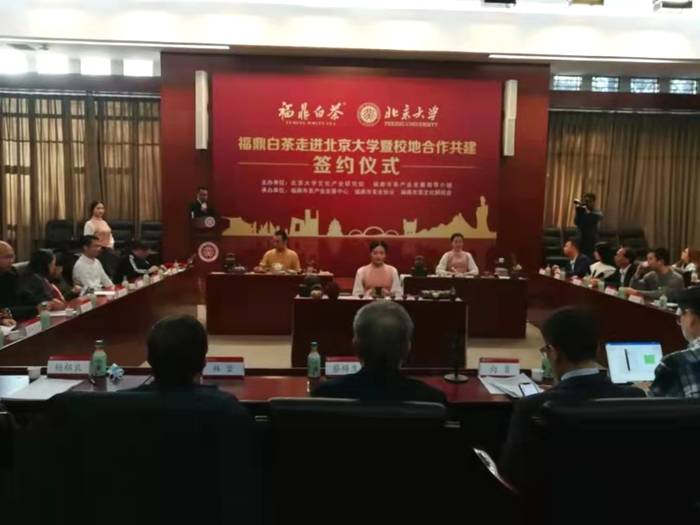 关于一样的路，不一样的风景——回首2020的福鼎白茶的信息(28)