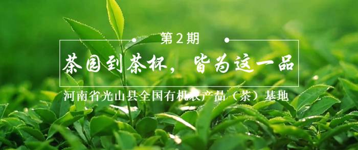 关于河南省光山县全国有机农产品（茶）基地：茶园到茶杯，皆为这一品的热门新闻