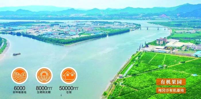 关于齐心协力，力争上游： 泓达堂营销部第一阶段工作会议圆满结束的最新消息(3)