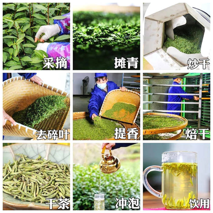 有关于开化龙顶茶：水中跳芭蕾，国家地理标志农产品的热门信息(1)