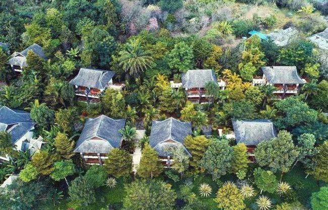 有关于普洱：唯一以茶命名的城市，竟还是咖啡之都的热门资讯(7)