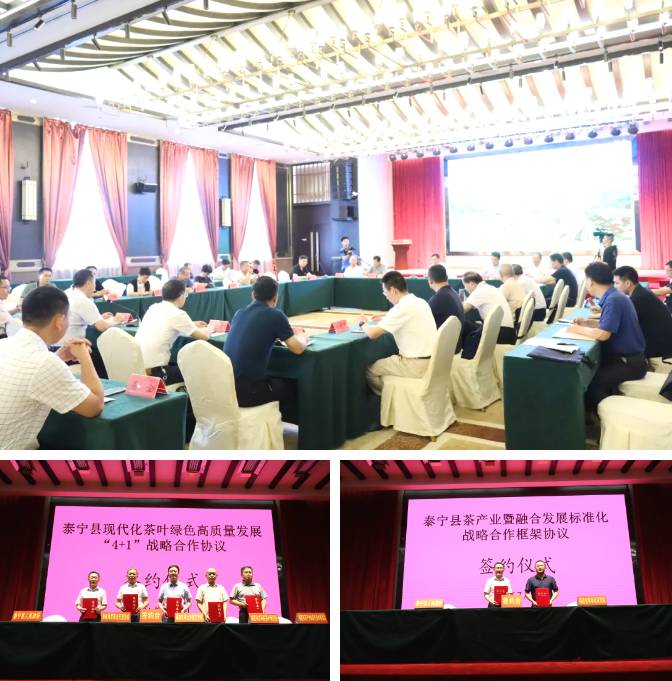 关于“4+1”茶产业发展战略合作，泰宁县这场群英研讨会，剑指茶产业和茶旅融合发展的信息(8)