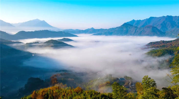 关于安徽:泾县副县长李宏武一行赴安化考察交流茶产业振兴经验的最新资讯(5)