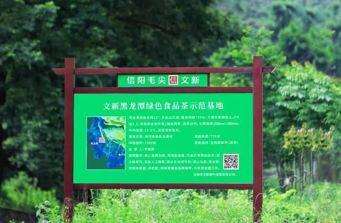 有关于每一片文新茶叶,都有属于自己的生态茶园的热门资讯(3)