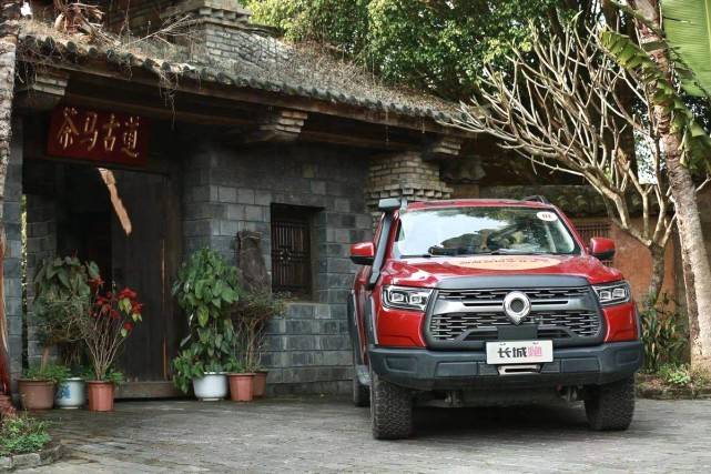 有关于当古茶之王遇上皮卡之王，长城皮卡助力勐海古树茶开采的信息(3)