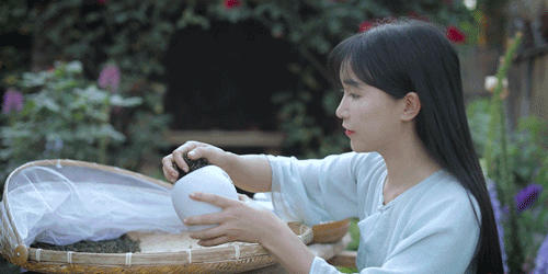 有关于李子柒：深深扎根在中华土地上，历久弥新的茶文化的资讯(10)
